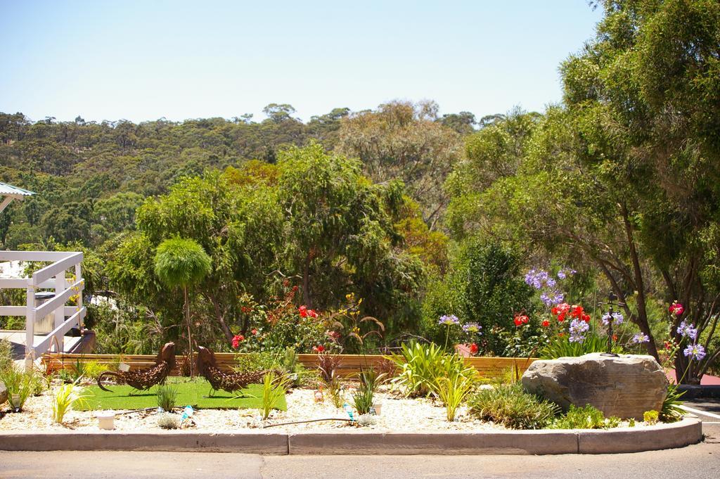 Clare Valley Motel Dış mekan fotoğraf