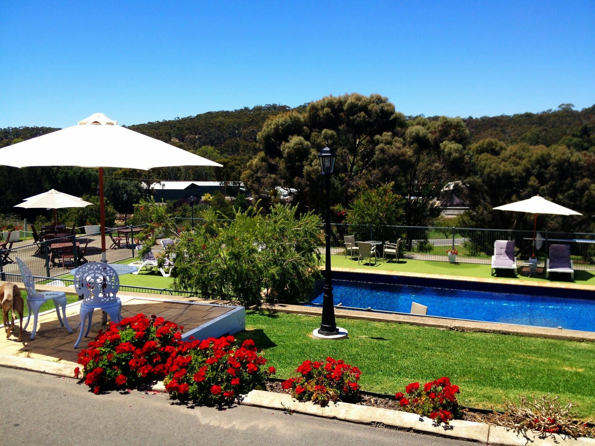Clare Valley Motel Dış mekan fotoğraf
